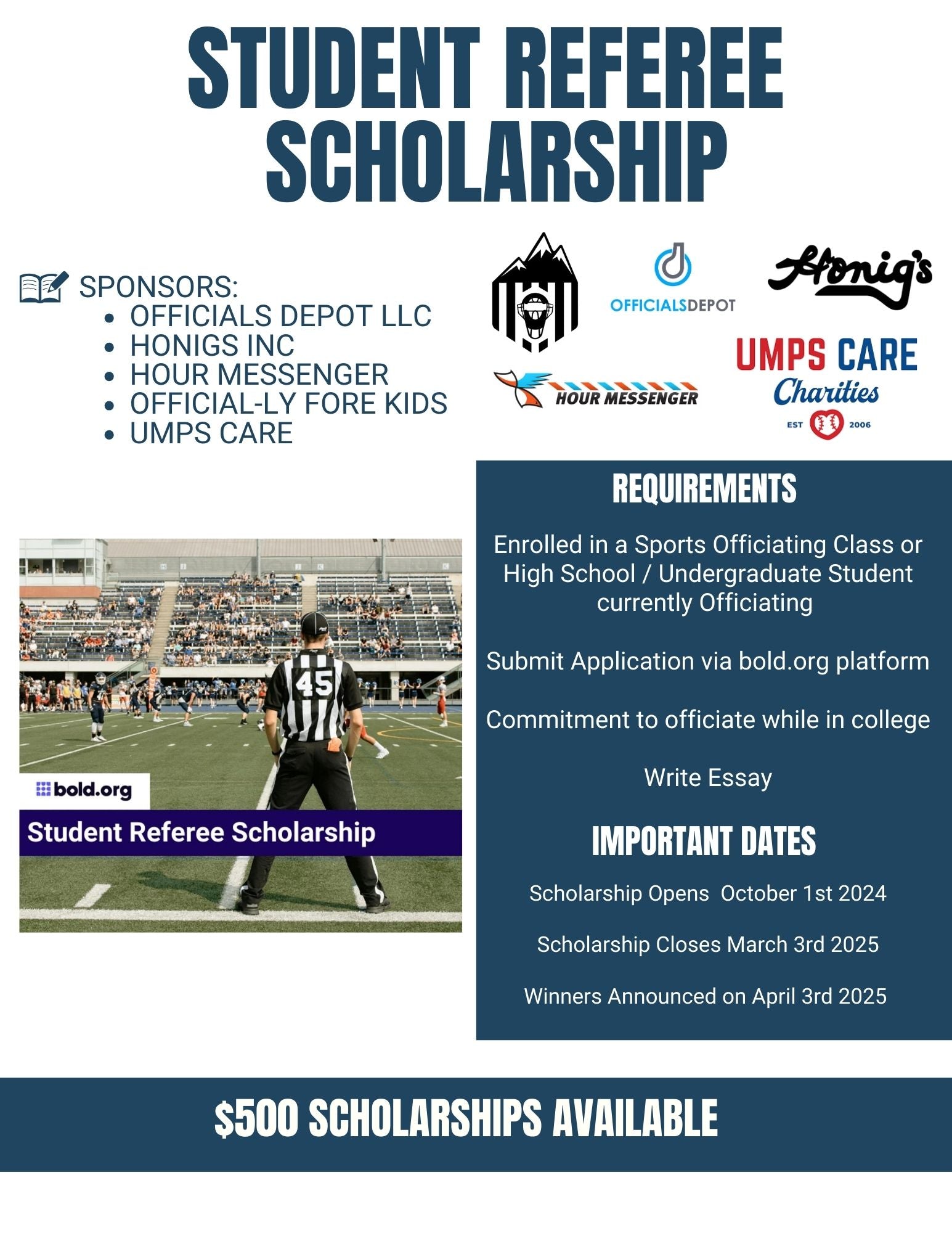 2024 Year-End Summary for Officials Depot LLC