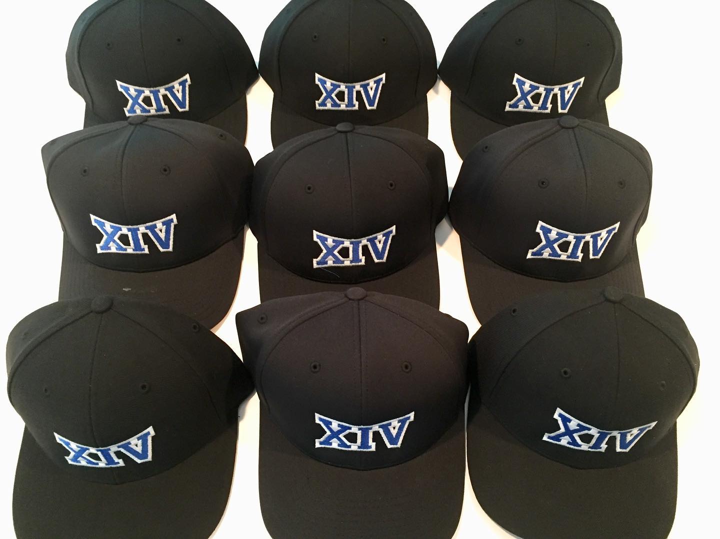 Region XIV Umpire Hat PULSE PERFORMANCE FLEXFIT - Officials Depot